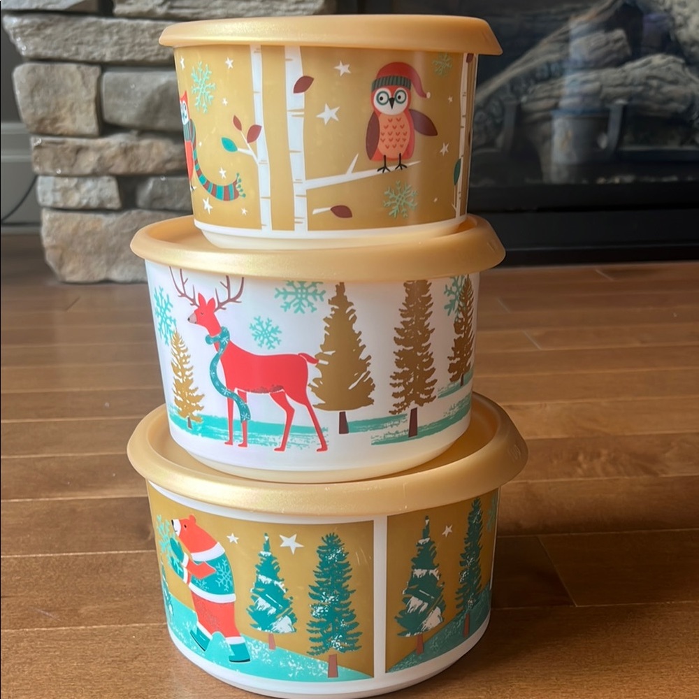 Tupperware Container Winter 3 Piece Set